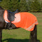 Shires Equi-Flector Reflective Exercise Sheet